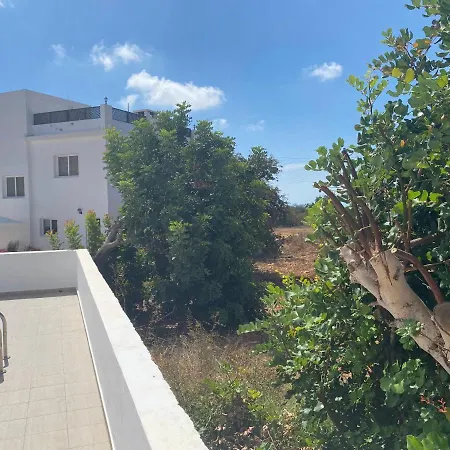 Villa Contemporary 3 Bedroom Villa With A Private Pool Outside Paphos